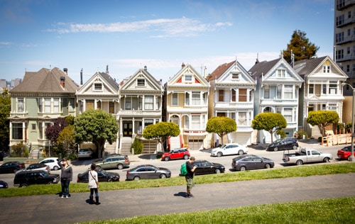 painted ladies