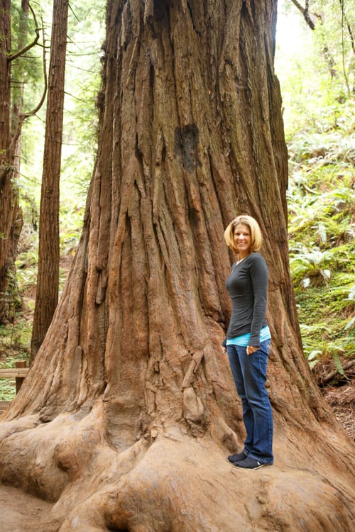 muir woods