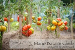 Dinner at NY Botanical Garden with 2 of Mario Batali's Head Chefs