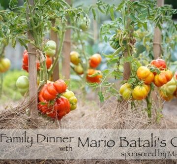 Dinner at NY Botanical Garden with 2 of Mario Batali's Head Chefs