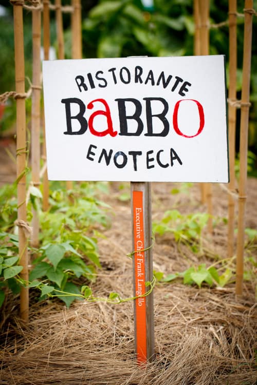 Dinner at NY Botanical Garden with 2 of Mario Batali's Head Chefs