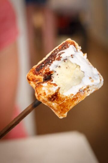 frozen s'more