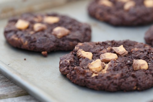 gluten free chocolate pb cookies