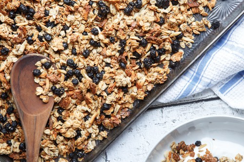 gluten-free blueberry almond granola with chia seeds