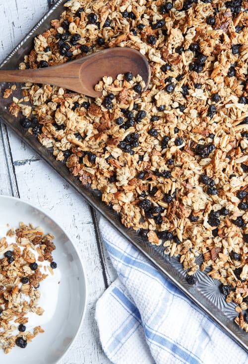 gluten-free blueberry almond granola with chia seeds