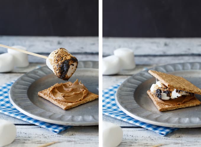 Cookie Butter Speculoos S'mores