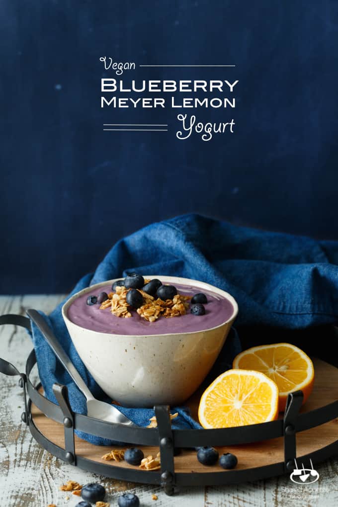 Vegan Blueberry Meyer Lemon Yogurt | sharedappetite.com