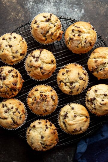 Quick and Easy Chocolate Chip Muffins 14 Chocolate Chip Muffins | sharedappetite.com