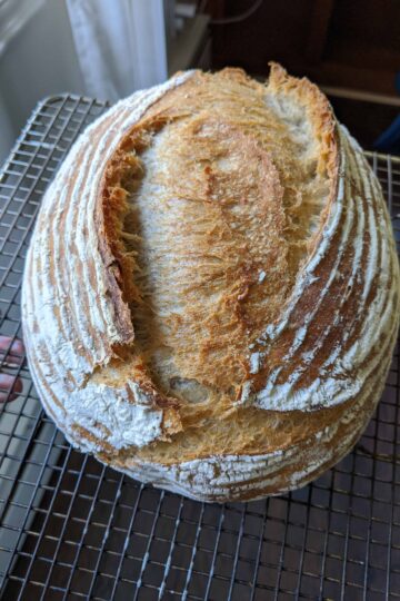 bread