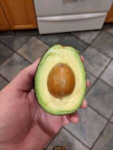 avocado food trends