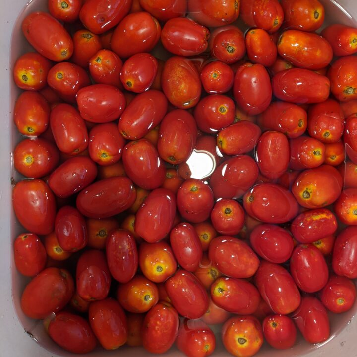 How to Make an Easy Tomato Sauce with Fresh Tomatoes - Shared Appetite