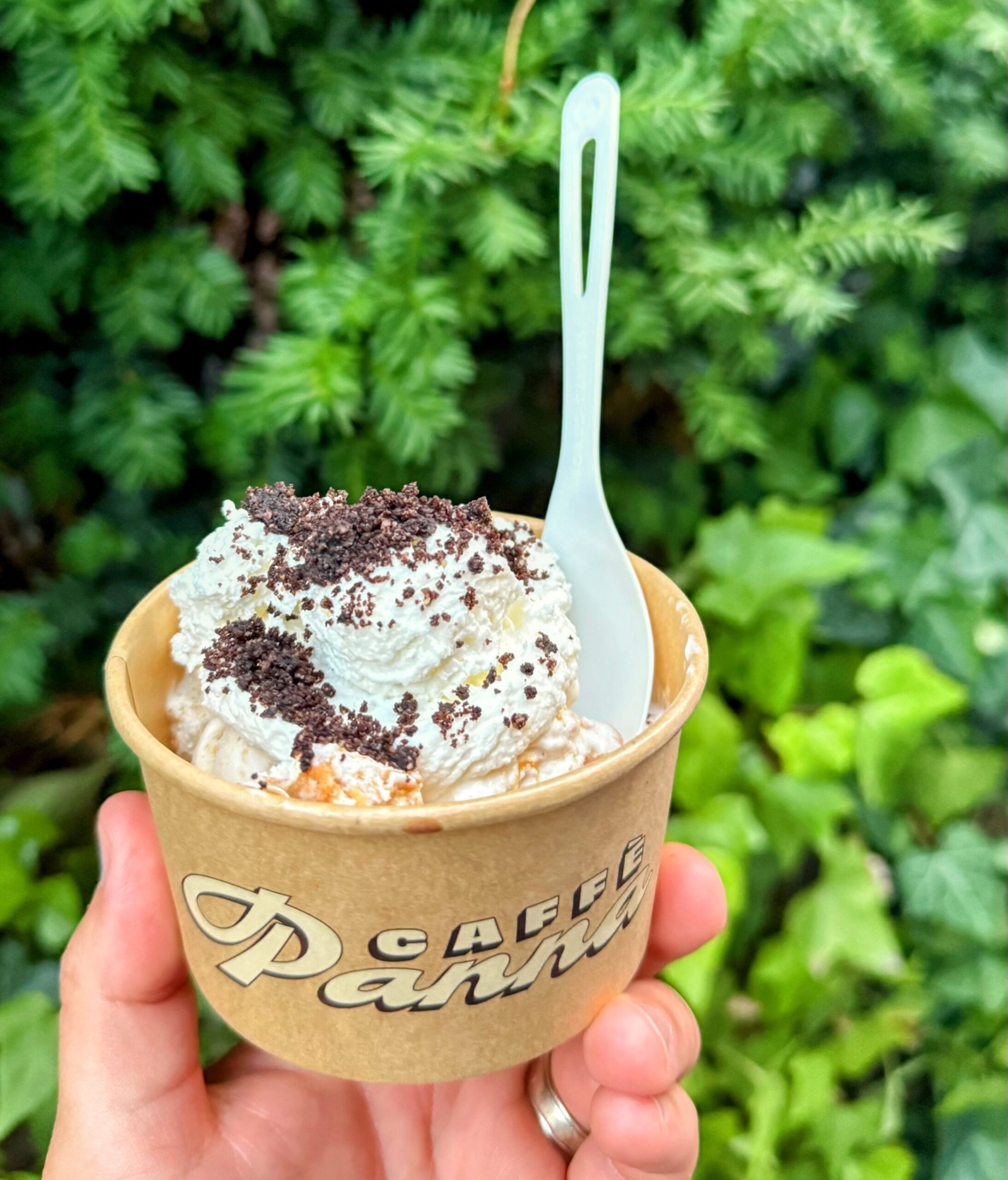 Caffe Panna ice cream nyc