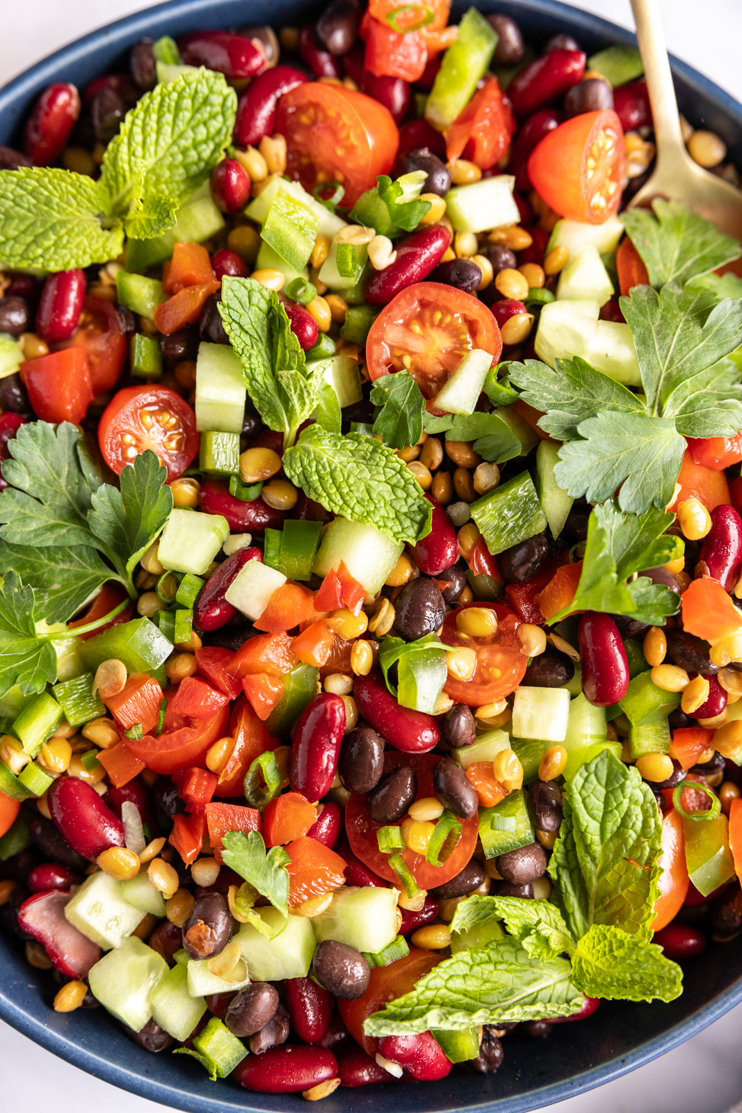 Mediterranean Dense Bean Salad - Viral Tik Tok Recipe 8 viral tiktok mediterranean dense bean salad 1 1