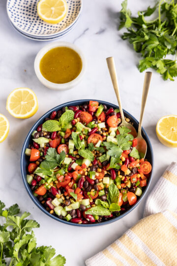 mediterranean dense bean salad