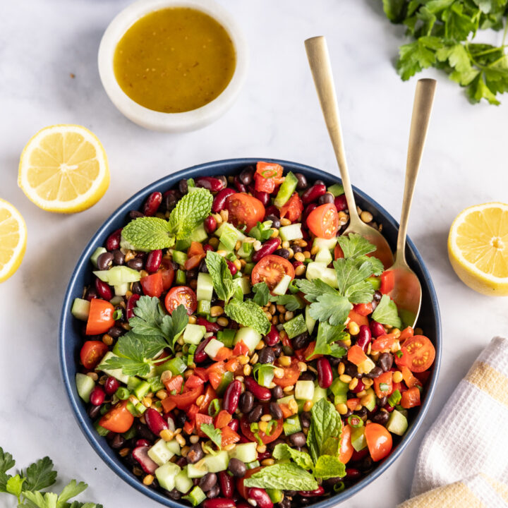 Mediterranean Dense Bean Salad - Viral Tik Tok Recipe 2 mediterranean dense bean salad